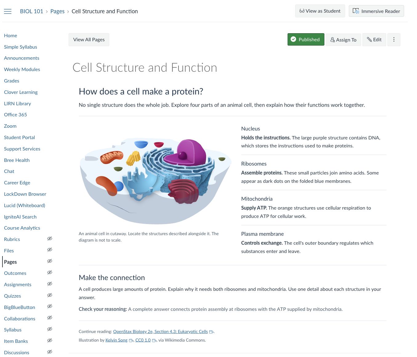 A published Canvas page named Cell Structure and Function in the BIOL 101 course. It shows the course menu, a heading, a labeled cell diagram with a description below it, four named cell structures, and a short student task.